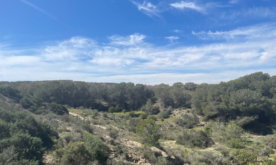Használt Ingatlanok - Villa -
Guardamar del Segura - Costa Blanca