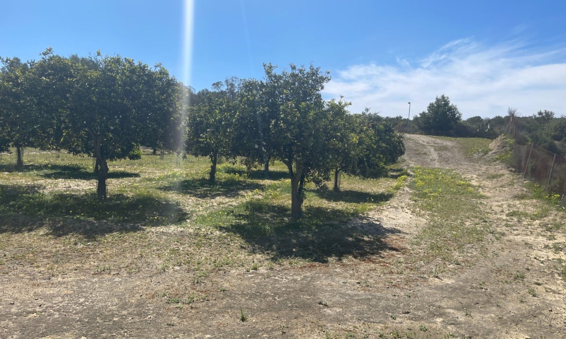 Használt Ingatlanok - Villa -
Guardamar del Segura - Costa Blanca