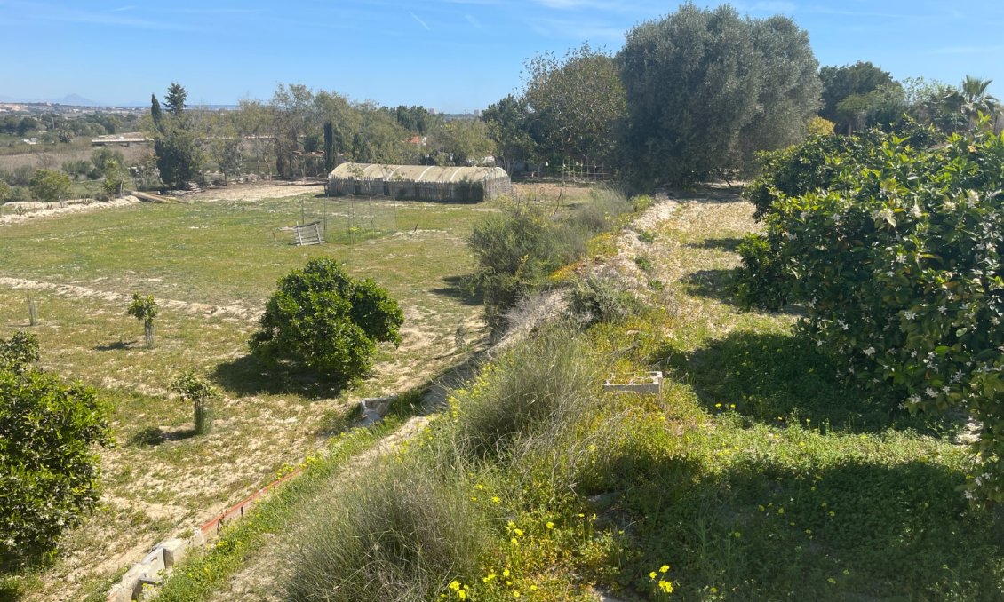 Használt Ingatlanok - Villa -
Guardamar del Segura - Costa Blanca