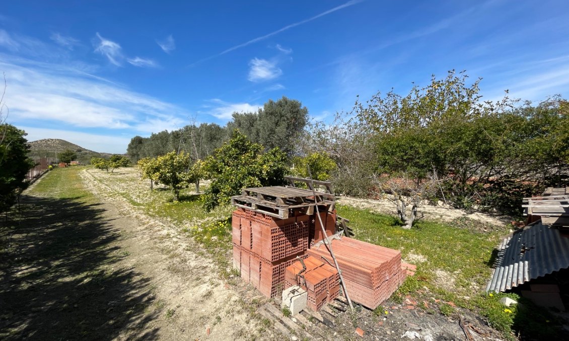 Használt Ingatlanok - Villa -
Guardamar del Segura - Costa Blanca