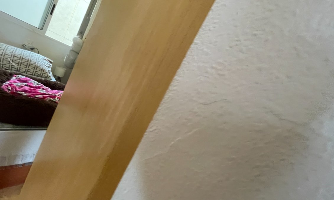 Használt Ingatlanok - Apartman -
Torrevieja - Costa Blanca