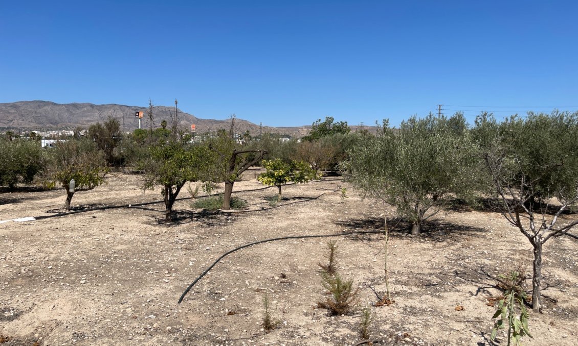 Használt Ingatlanok - Villa -
Crevillent - Inland