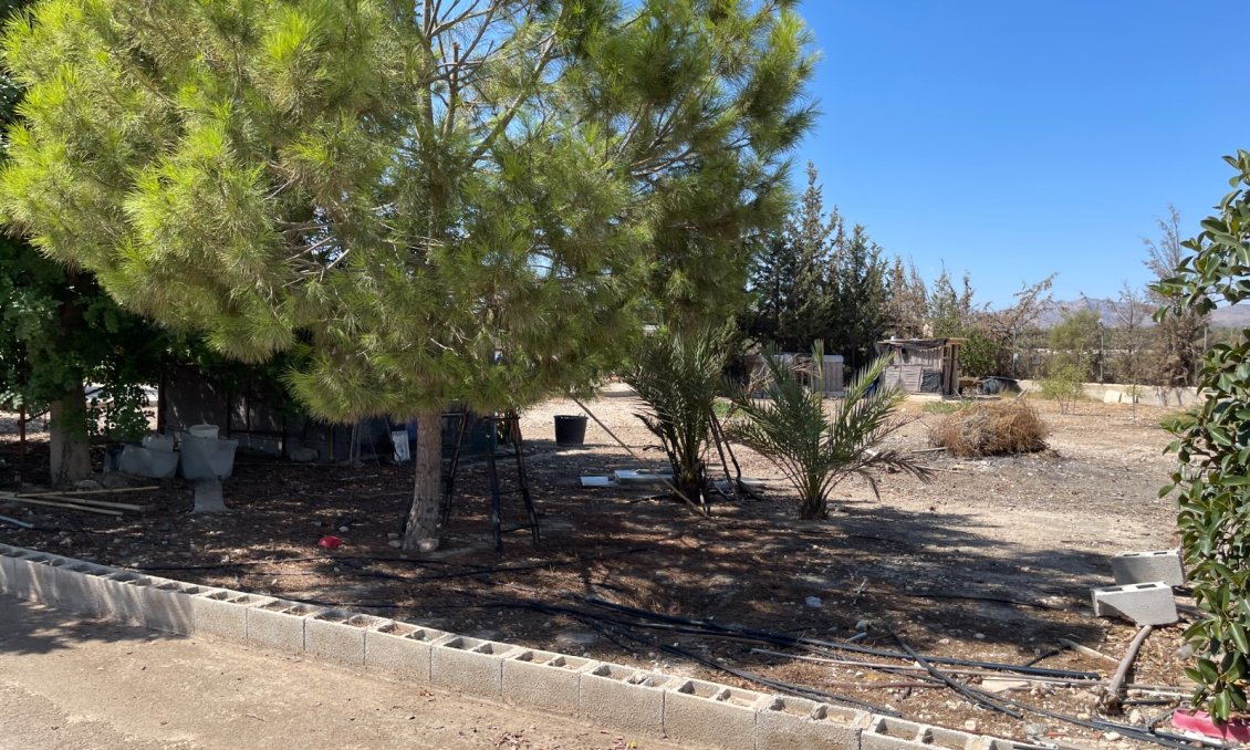 Használt Ingatlanok - Villa -
Crevillent - Inland