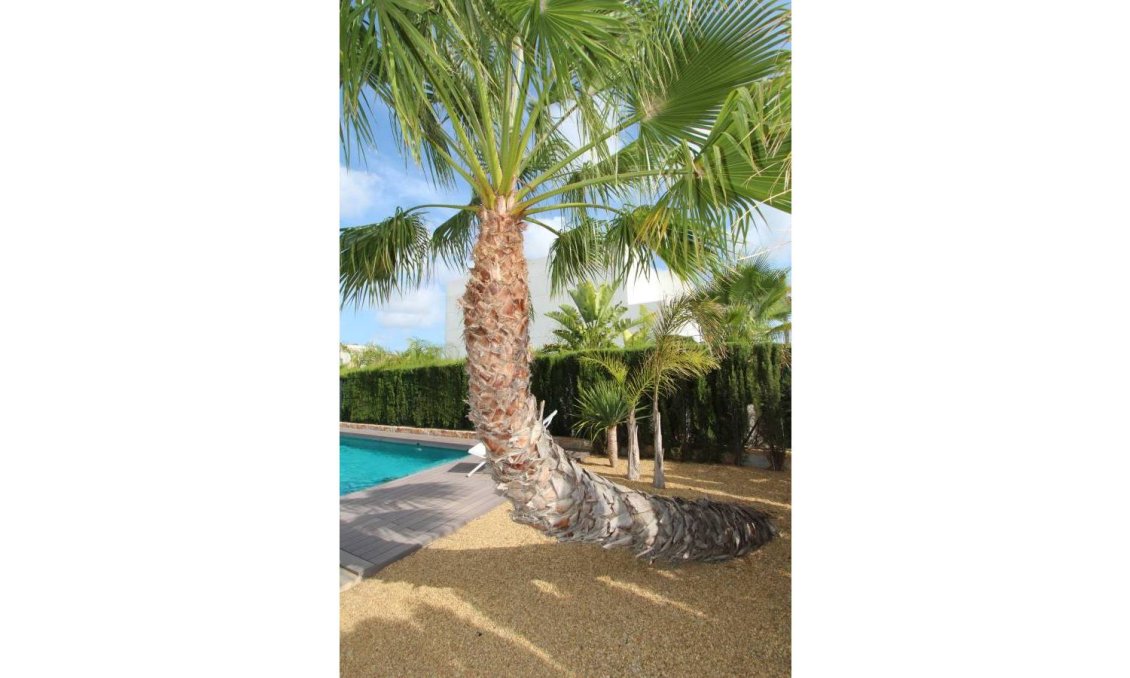 Használt Ingatlanok - Villa -
Rojales - Inland