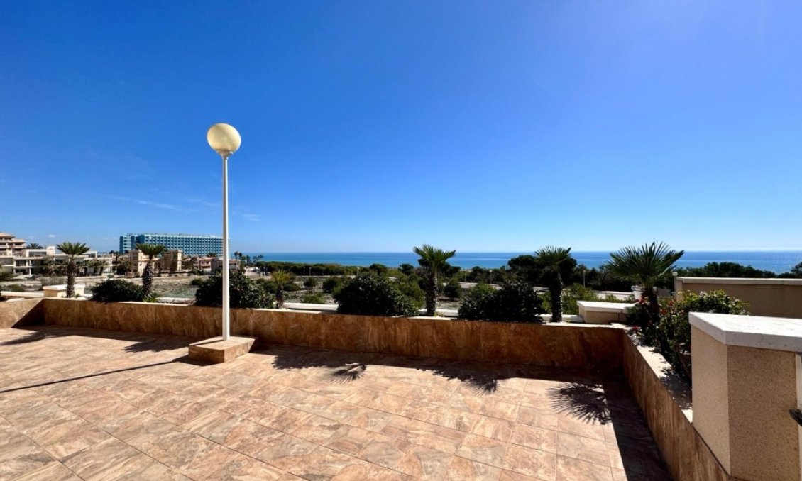 Használt Ingatlanok - Apartman -
Guardamar del Segura - Costa Blanca