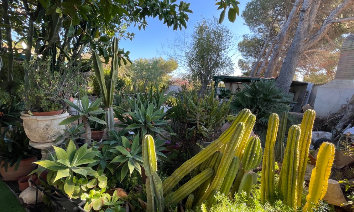 Használt Ingatlanok - Villa -
Orihuela Costa - Costa Blanca