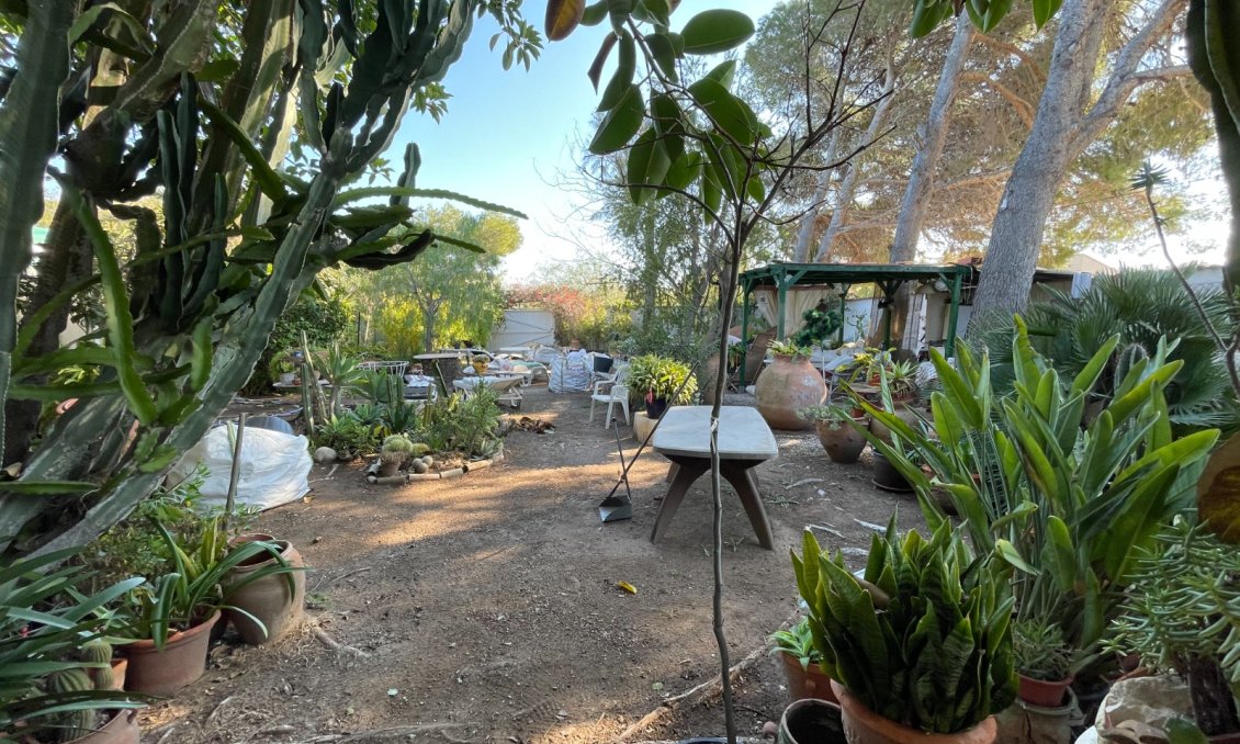 Használt Ingatlanok - Villa -
Orihuela Costa - Costa Blanca