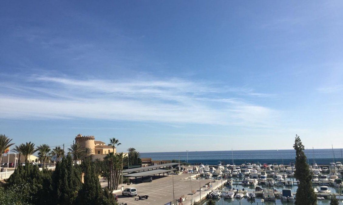 Obra nueva - Villa -
Pilar de la Horadada - Las Higuericas