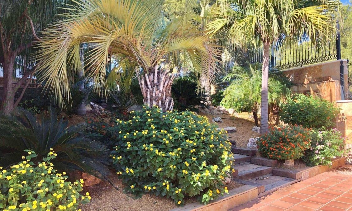 Resale - Villa -
El Palmar