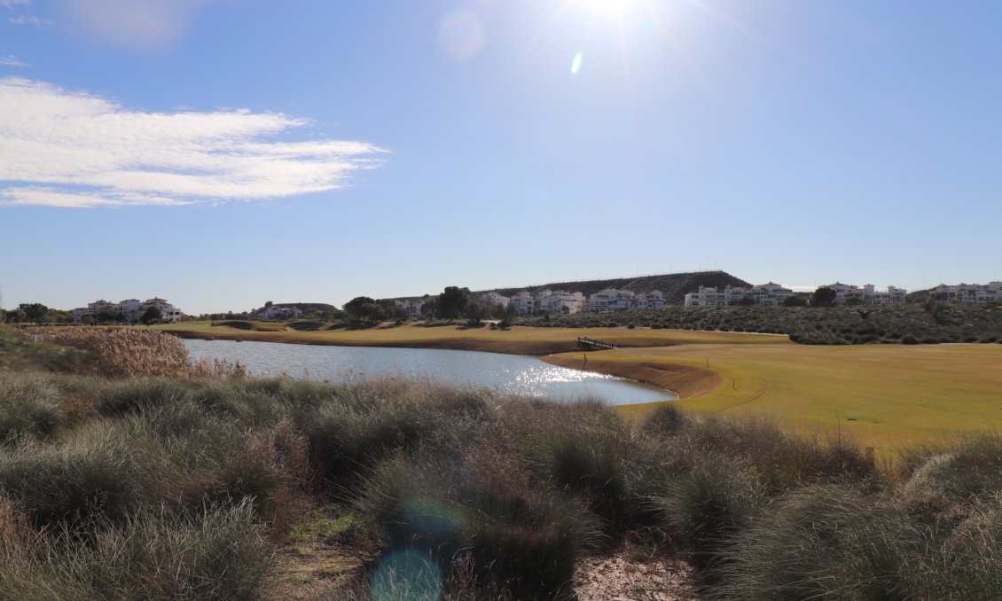 Használt Ingatlanok - Apartman -
Sucina - Inland