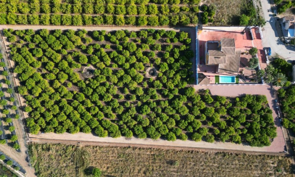 Használt Ingatlanok - Villa -
Orihuela - Inland