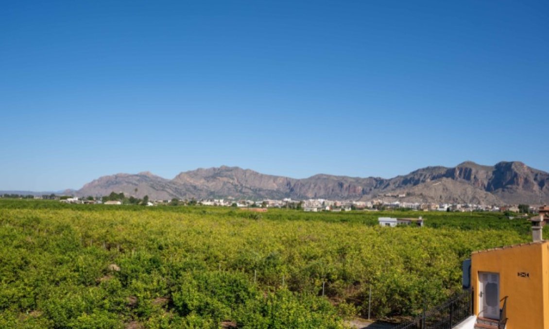 Használt Ingatlanok - Villa -
Orihuela - Inland