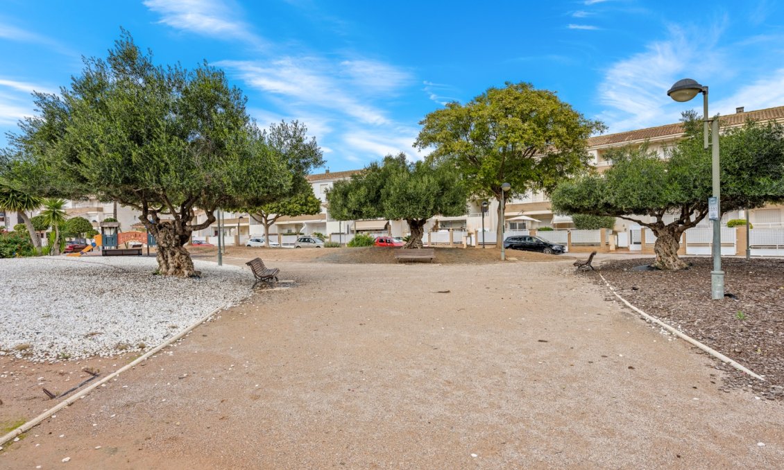 Használt Ingatlanok - Apartman -
Torre Pacheco - Inland