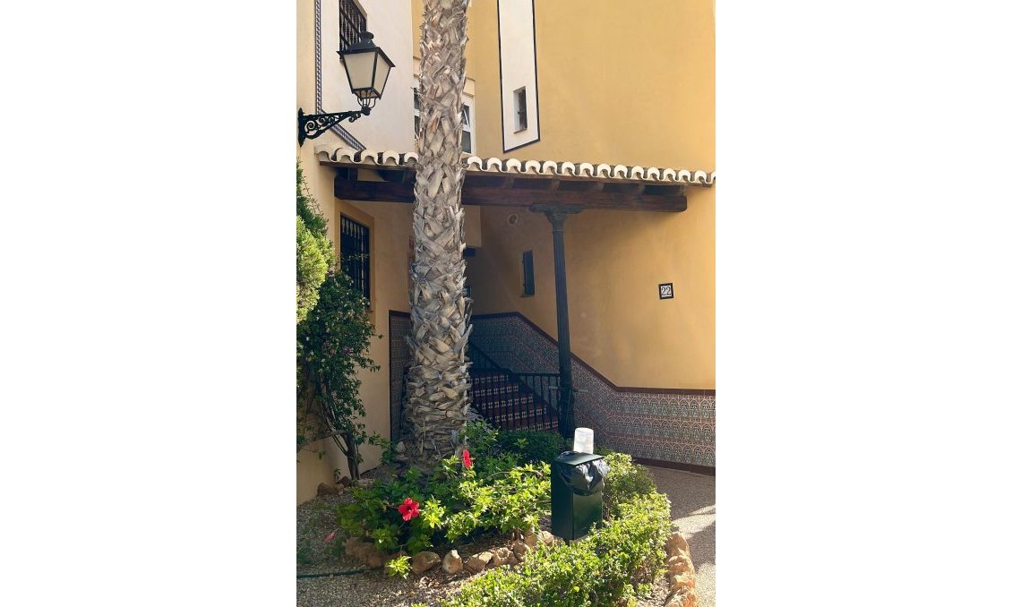 Használt Ingatlanok - Tetőtéri lakás -
Torrevieja - Los Frutales