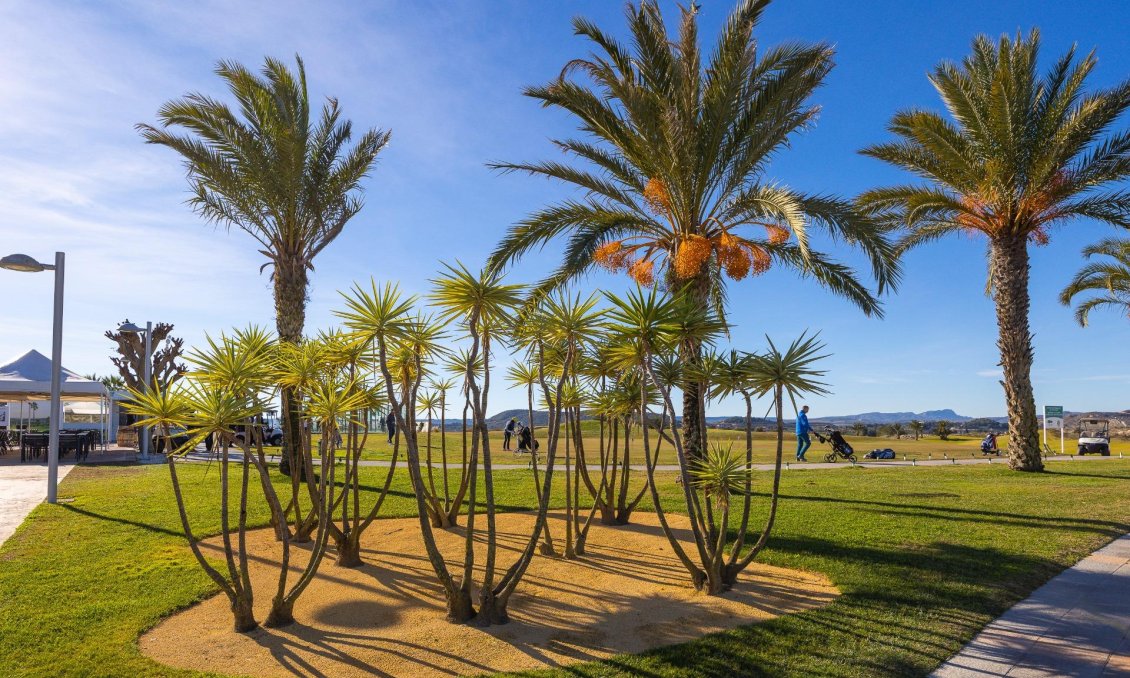 Revânzare - Bungalou -
Orihuela - Desamparados-hurchillo-torremendo