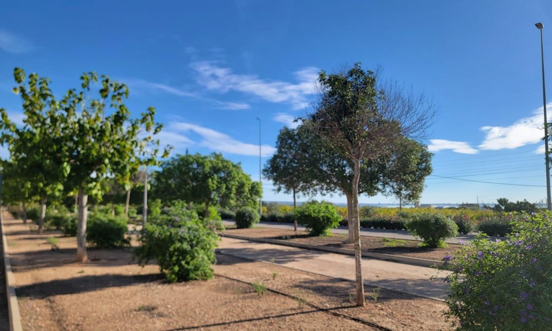 Resale - Town House -
Los Montesinos - Los Montesinos - Urb. La Herrada