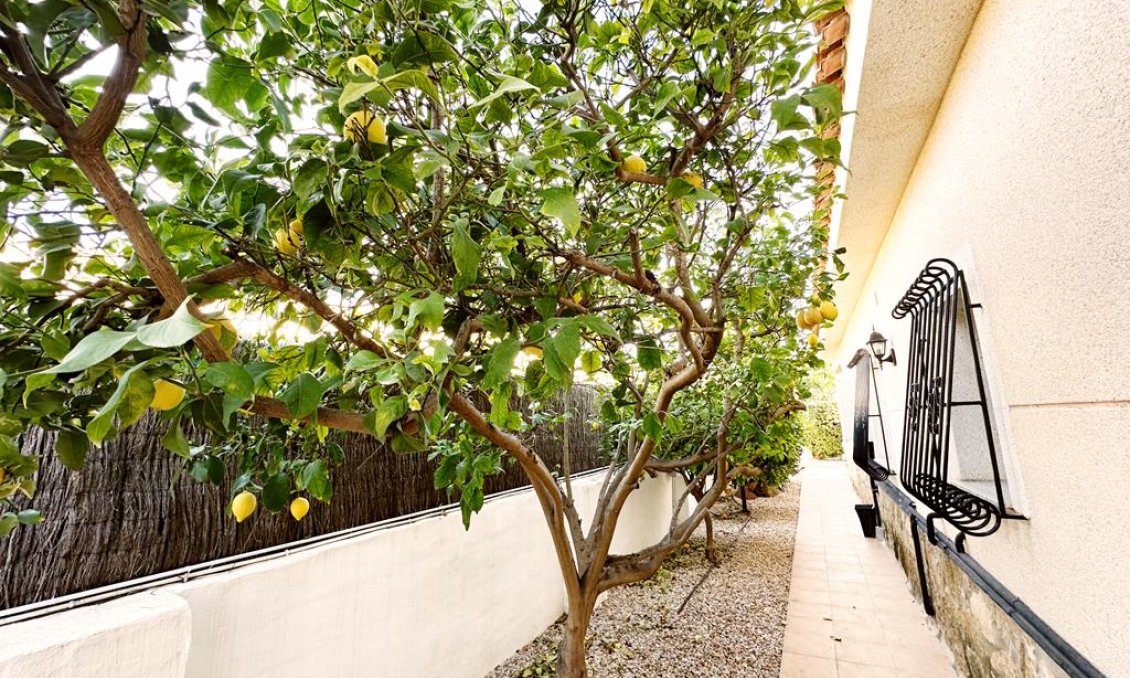 Használt Ingatlanok - Villa -
Lo Santiago - Inland