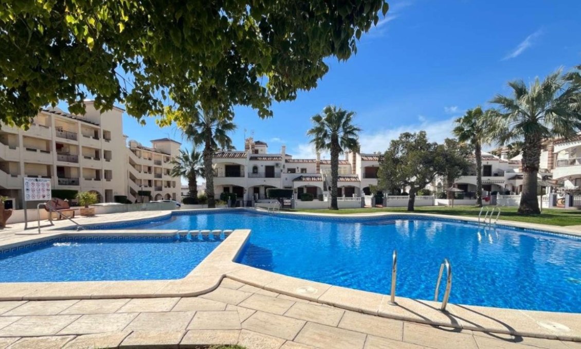 Használt Ingatlanok - Apartman -
Playa Flamenca - Costa Blanca