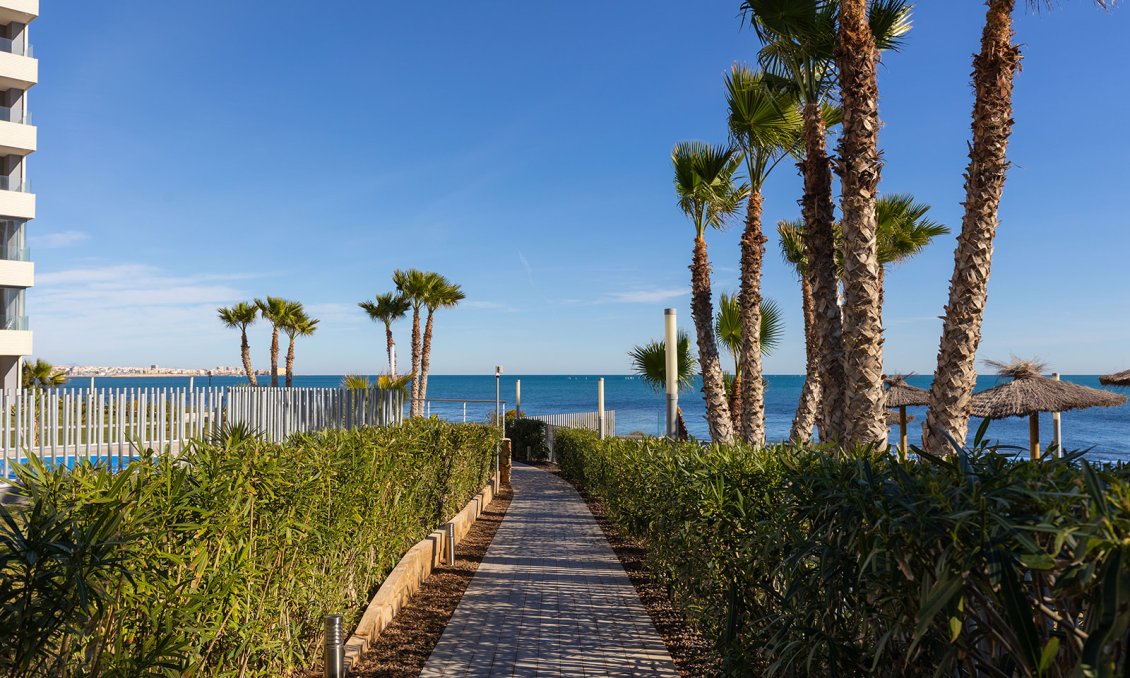 Használt Ingatlanok - Apartman -
Torrevieja - Costa Blanca