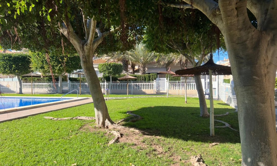 Segunda mano - Quad House -
Orihuela Costa - Costa Blanca