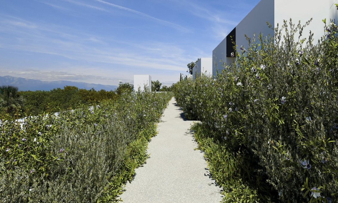 Obra nueva - Villa -
Alfas del Pí - Barranc Fondo