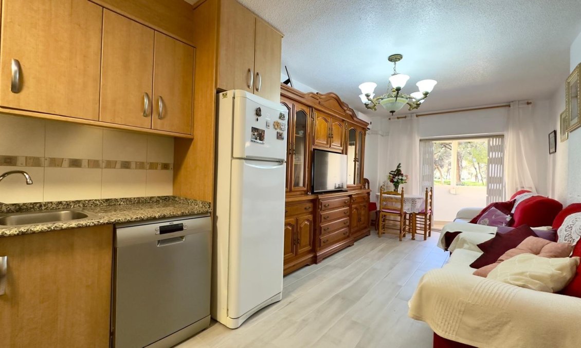 Segunda mano - Apartamento -
Guardamar del Segura - Centro