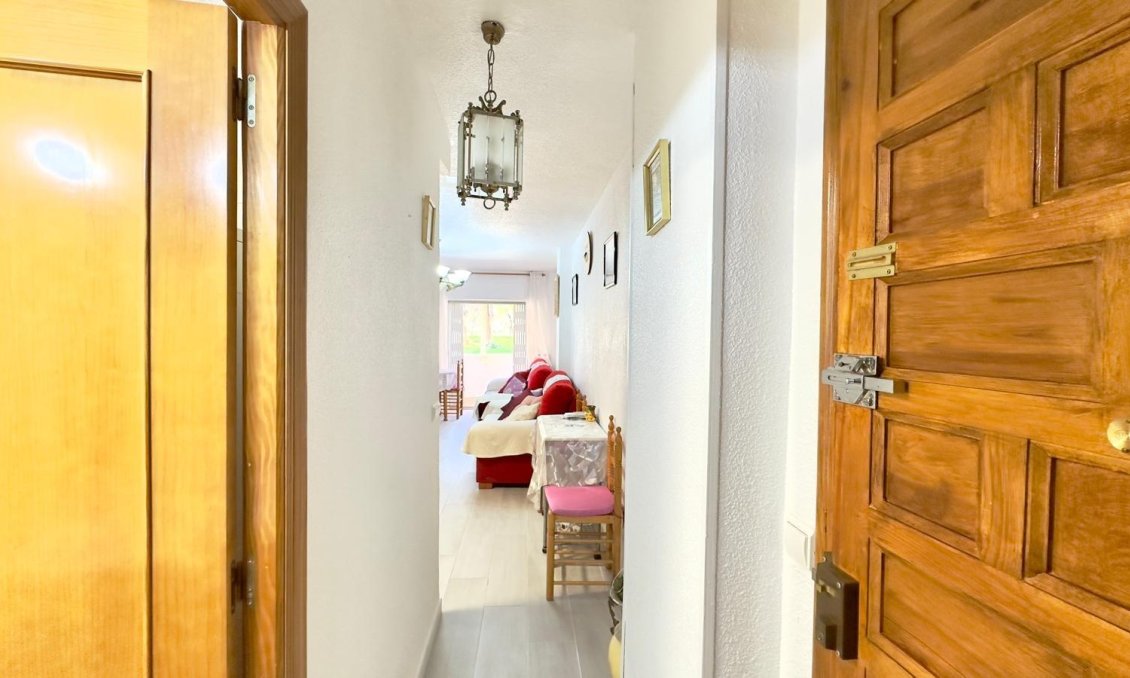 Segunda mano - Apartamento -
Guardamar del Segura - Centro