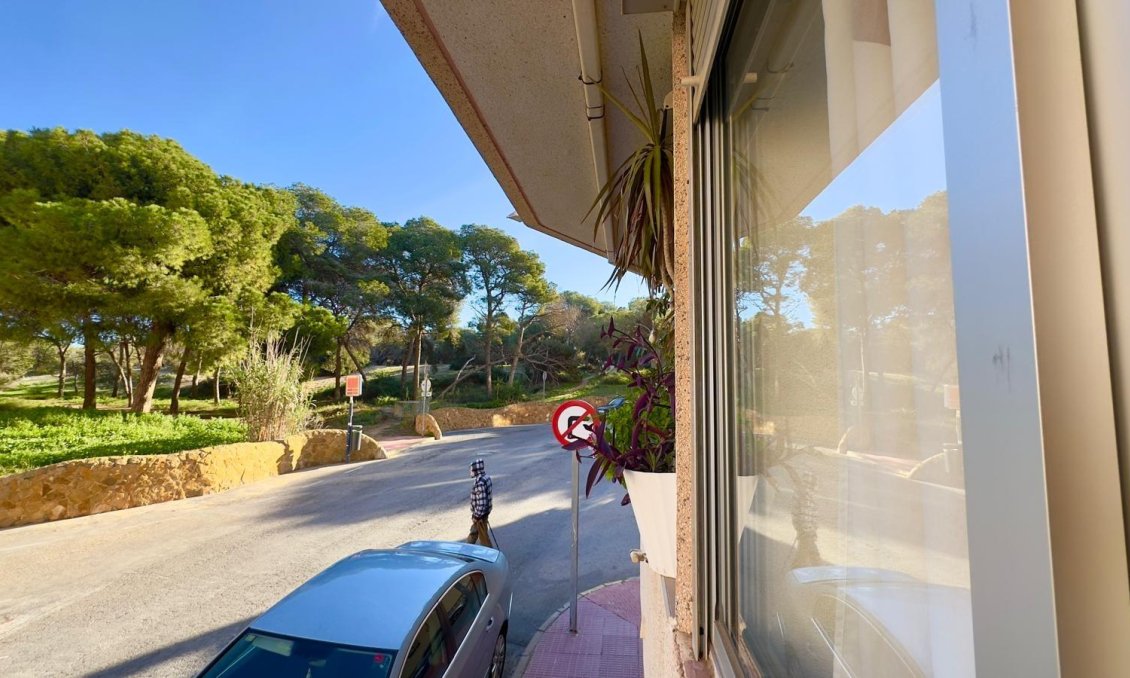 Segunda mano - Apartamento -
Guardamar del Segura - Centro