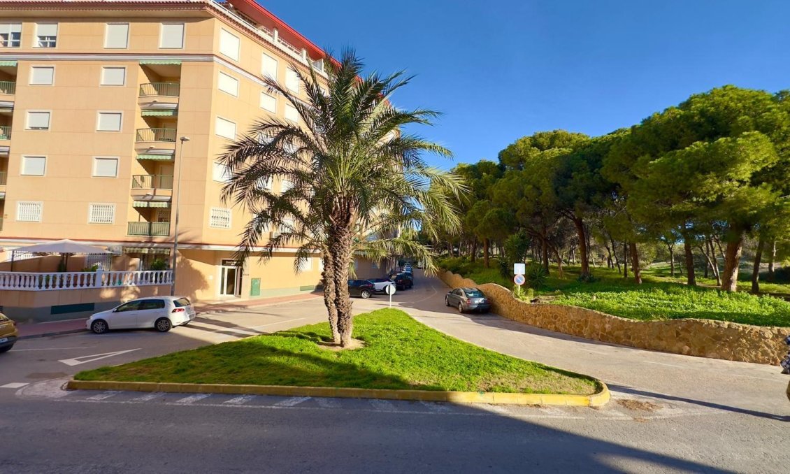 Segunda mano - Apartamento -
Guardamar del Segura - Centro