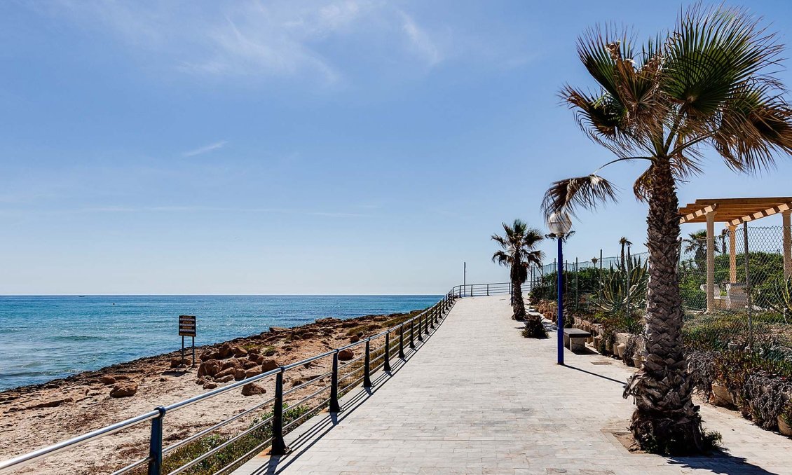 Nouvelle construction - Villa -
Orihuela Costa - La Zenia