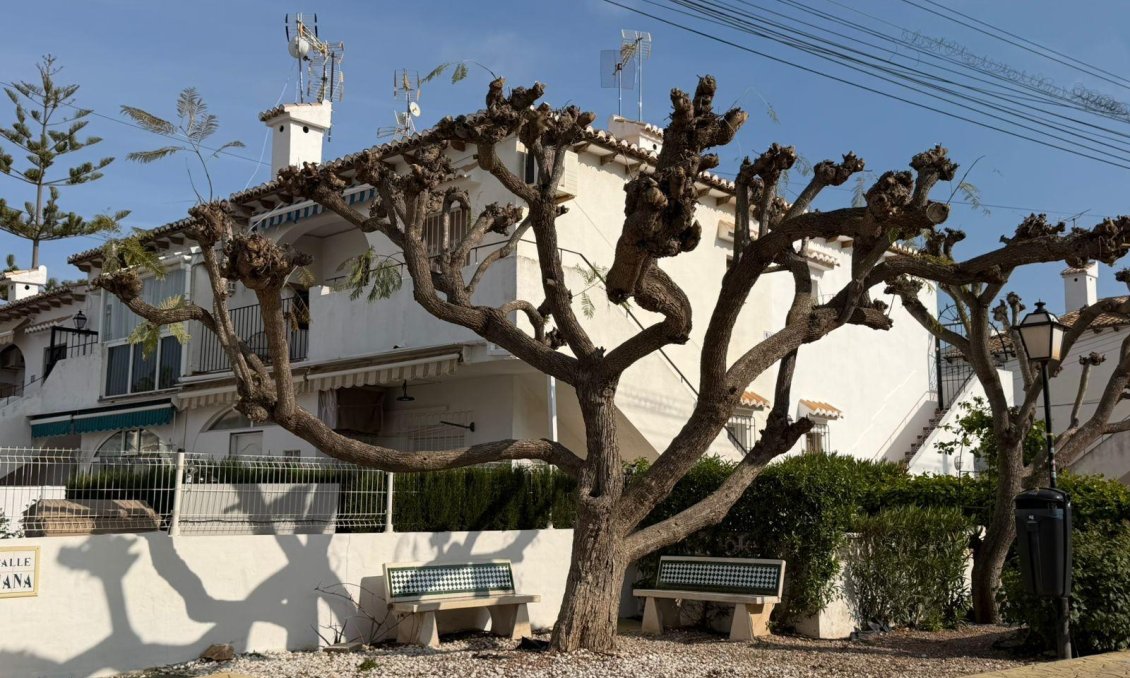 Segunda mano - Bungalow -
Torrevieja - Los Balcones