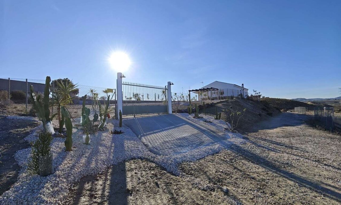 Revânzare - Vilă -
Fortuna - Inland