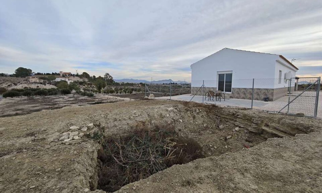 Revânzare - Vilă -
Fortuna - Inland