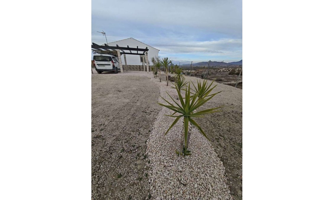 Használt Ingatlanok - Villa -
Fortuna - Inland