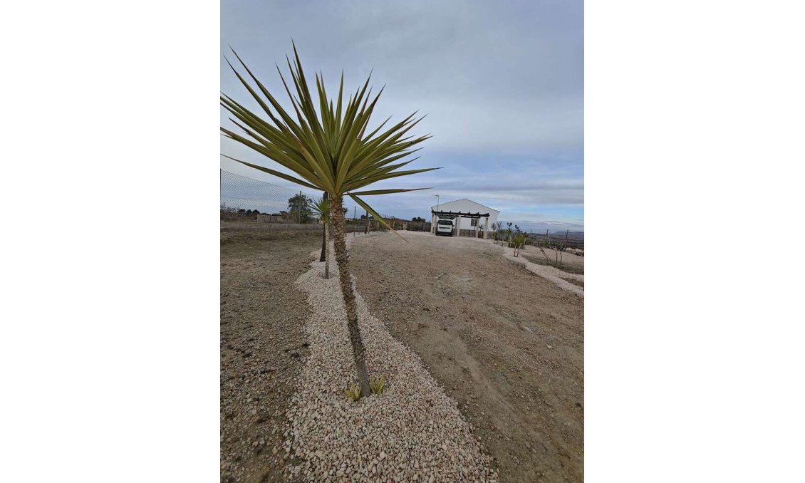 Használt Ingatlanok - Villa -
Fortuna - Inland