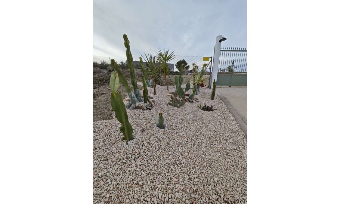 Használt Ingatlanok - Villa -
Fortuna - Inland