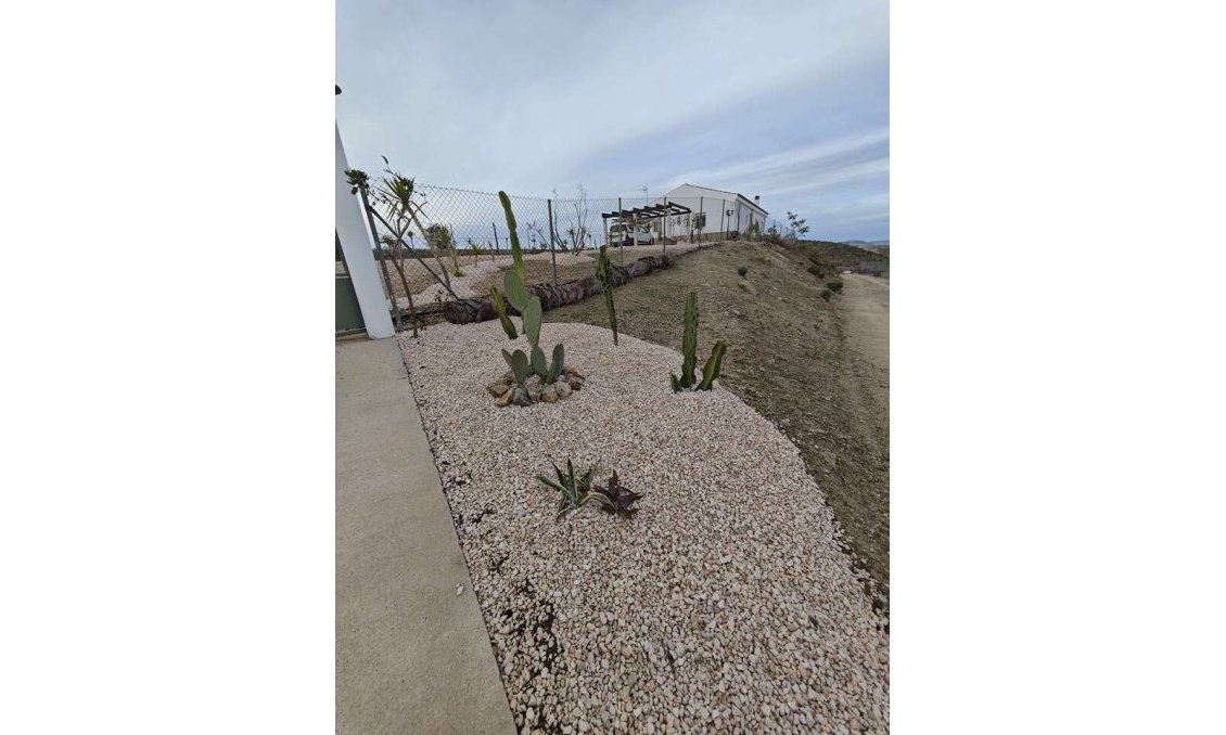 Használt Ingatlanok - Villa -
Fortuna - Inland