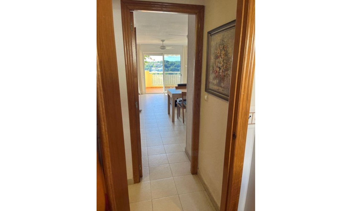Segunda mano - Apartamento -
Orihuela Costa - Campoamor