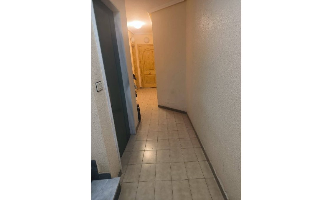 Wiederverkauf - Wohnung -
Lo Pagan - La Puntica