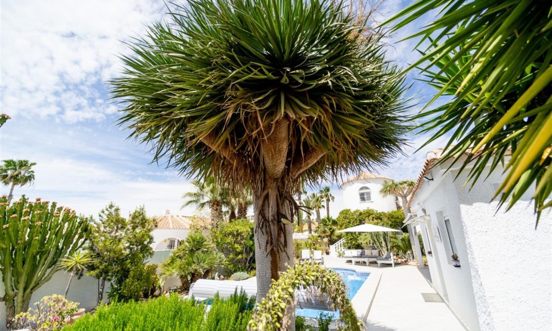 Segunda mano - Villa -
Torrevieja - Costa Blanca