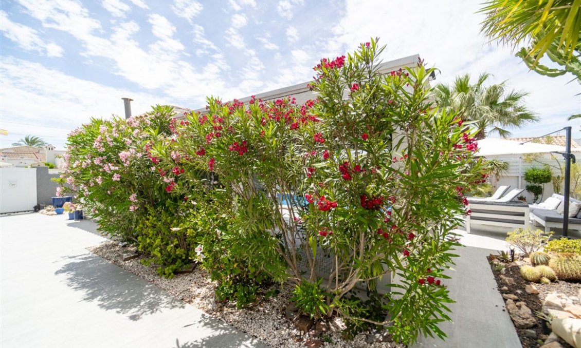 Segunda mano - Villa -
Torrevieja - Costa Blanca