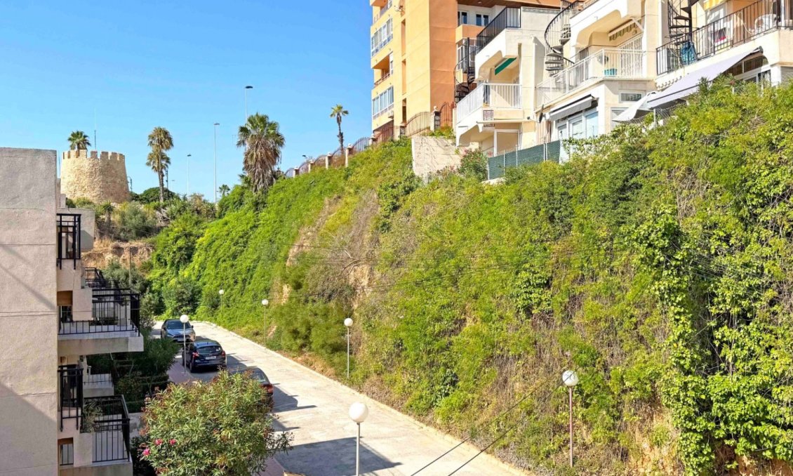 Segunda mano - Apartamento -
Torrevieja - Costa Blanca