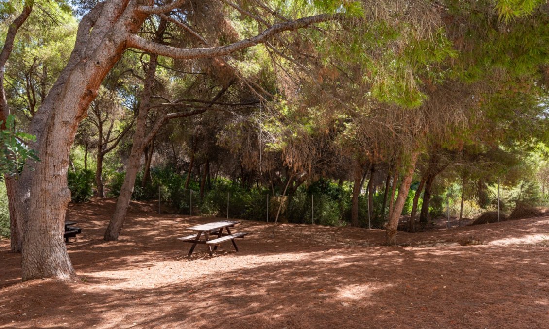 Wiederverkauf - Wohnung -
Alicante - Costa Blanca