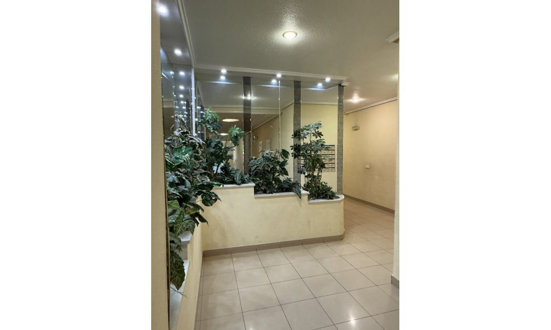 Segunda mano - Apartamento -
Torrevieja - Centro