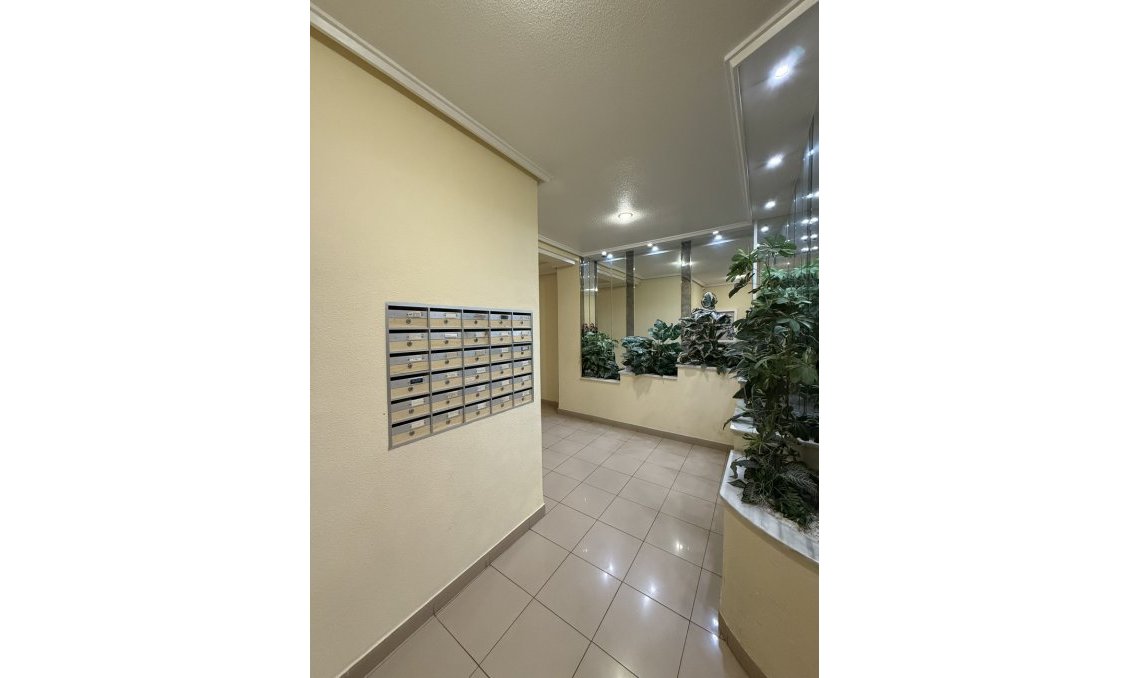 Segunda mano - Apartamento -
Torrevieja - Centro