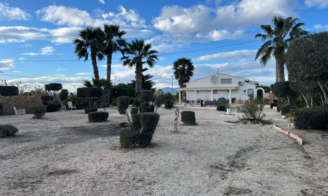 Wiederverkauf - Villa -
Dolores - Comunidad Valenciana