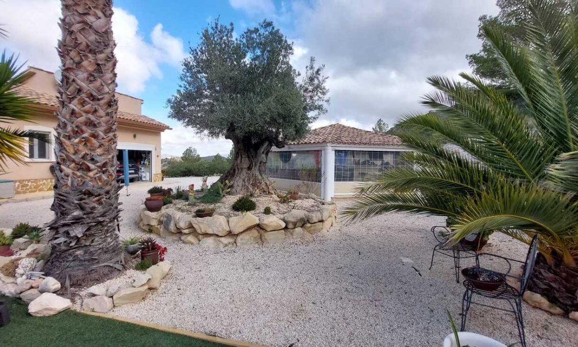 Segunda mano - Villa -
Abanilla - La Zarza