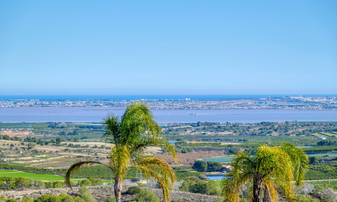 Resale - Villa -
San Miguel de Salinas - Inland