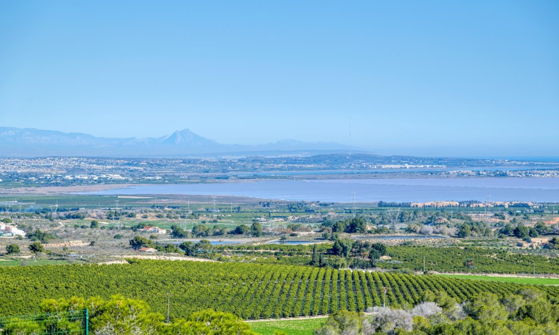 Resale - Villa -
San Miguel de Salinas - Inland