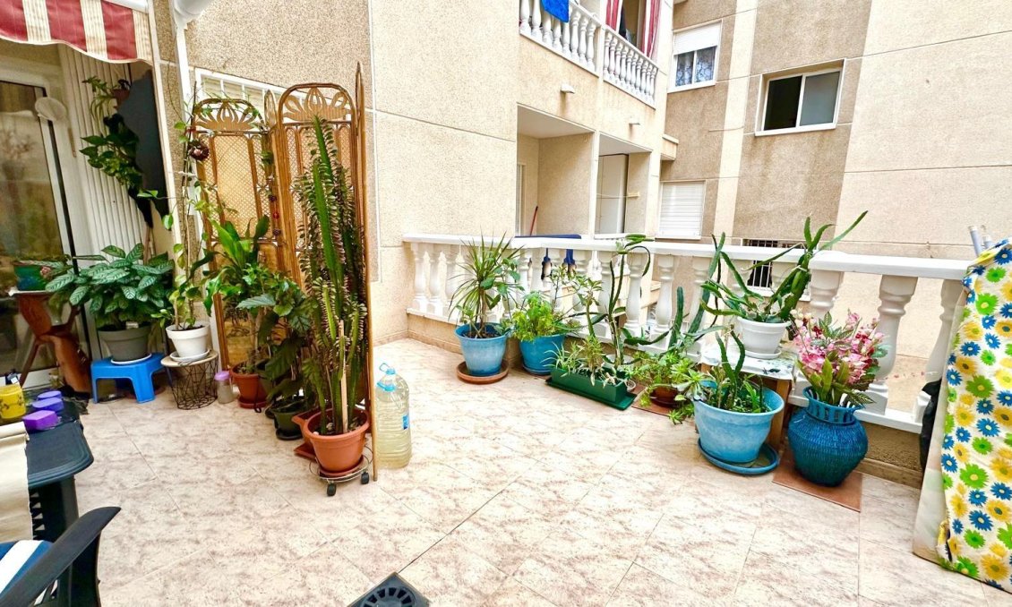 Segunda mano - Apartamento -
Torrevieja - Centro